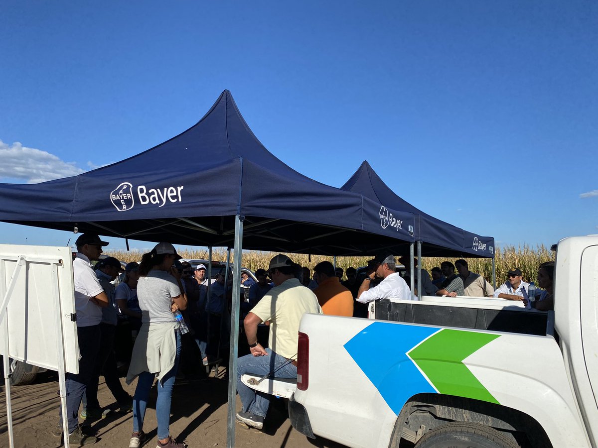 JustoMacL's tweet photo. Lo más importante y valioso de todo: el equipo de personas.

Gracias por acompañarnos!

@ElPayeSA @CQuemu @Fullagrosrl @EkunAgroSRL @dekalden @cyagro1 @el_malambo @croptalent #AgronomiaBaudino #AgroGermania

CTB red InnoBa

📍Territorio Oeste

💪🚀🌽🧬🛰🛻👨🏻‍🌾🚜🌱
@Bayer4CropsAR https://t.co/mUDGLe8PDf