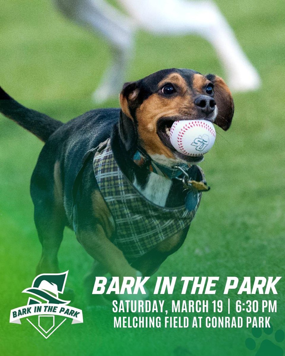 StetsonHatters's tweet image. CALLING ALL DOGS🐶

Join us this Saturday, March 19th for @StetsonBaseball Bark in the Park! 
Enjoy some baseball with your furry friends 🐾