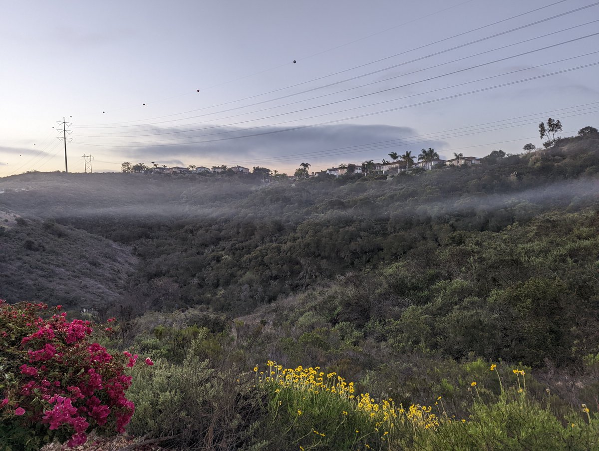 sdrunner's tweet image. Fog rolling in during a morning run the other day. It's finally here! Just a few more days before the @hotchocolate15K, been a while since I ran an IRL race! To say I'm excited is an understatement.

#HCSDBR #HC15K #BibChat #brpteamwest #bibravepro #runsd