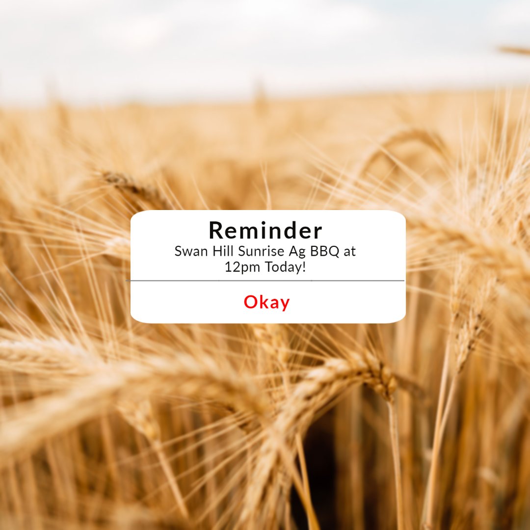 Today in Swan Hill we will be having a BBQ to thank
our customers for your support throughout our 20 Years
of Sunrise Ag.
Come down to 5616 Donald-Swan Hill Road
Swan Hill at 12pm for a free BBQ and prizes.
#sunriseag20years