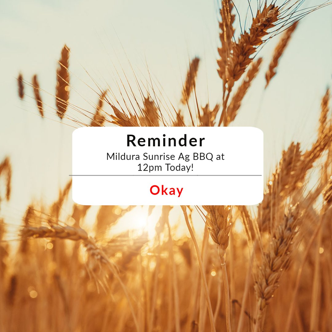 Month of anniversaries! 
Today in Mildura we will be having a BBQ to thank our customers for your support throughout our 20 Years of Sunrise Ag.
Come down to 393 Benetook Avenue at 12pm for a free BBQ and prizes.
#sunriseag20years