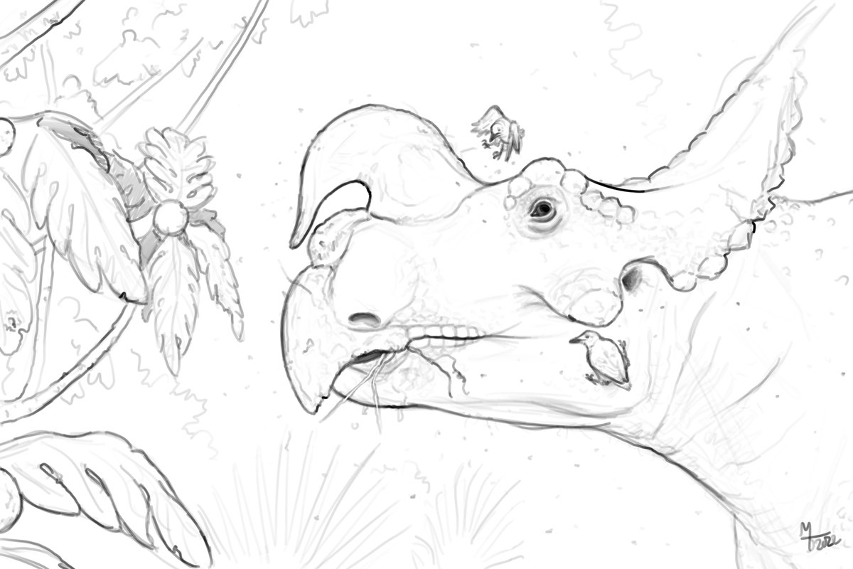 Midiaou7's tweet photo. Einiosaurus
#sciart https://t.co/MR5GraarI4