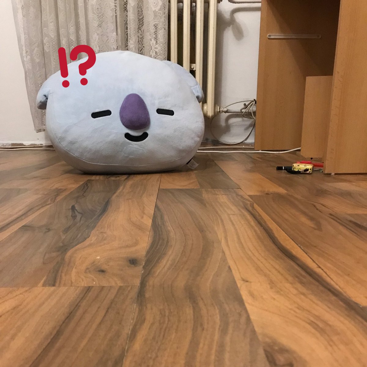 JumboKoya's tweet photo. oh, hey there! 

these are very tough times in the world right now, aren’t they?

it’s okay, koya is here! 🐨💜 https://t.co/Ot6P1uGO4s