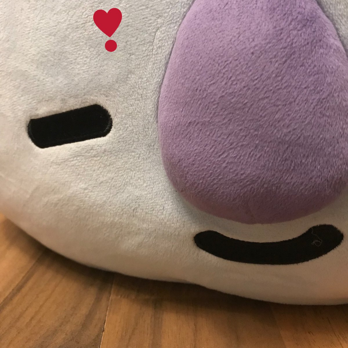 JumboKoya's tweet photo. oh, hey there! 

these are very tough times in the world right now, aren’t they?

it’s okay, koya is here! 🐨💜 https://t.co/Ot6P1uGO4s