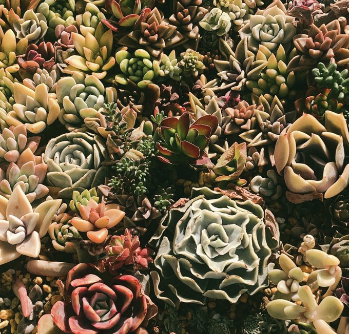 七福神のtwitterイラスト検索結果 七福神のtwitterイラスト検索結果