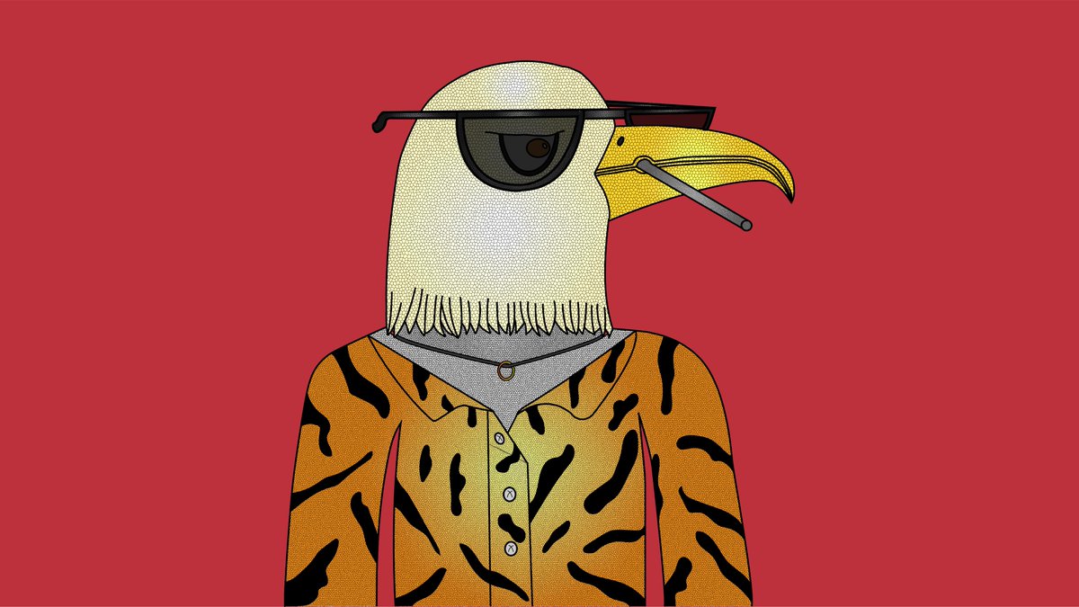 LordJoy5's tweet photo. Mister eagle is here! The friendly eagle imposes a presence anywhere! 😎🔥  #NFT #NFTs #NFTCommunity #NFTCollectibles #openseanfts https://t.co/Q5bL9LUve6