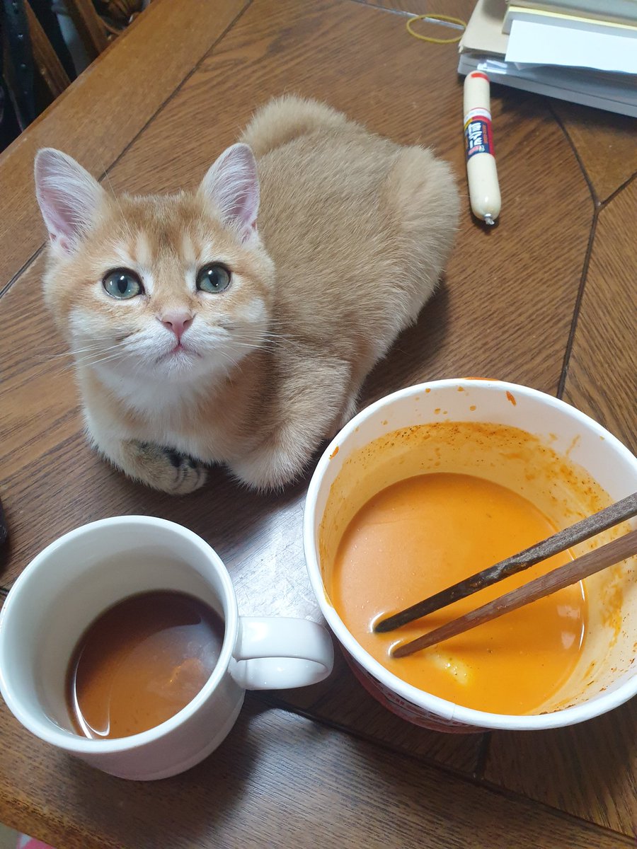 누나 아침먹는 걸 부담스럽게 가까이서 구경하는편