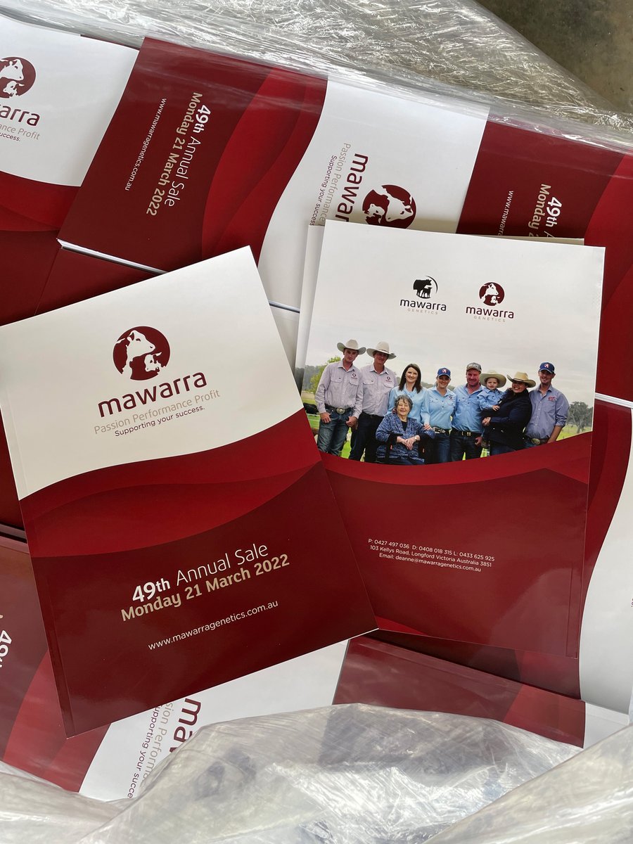 mawarrad's tweet photo. Mawarra Genetics Supplementary Sheet - https://t.co/fqWCRjG85v https://t.co/T1zAN48wLo