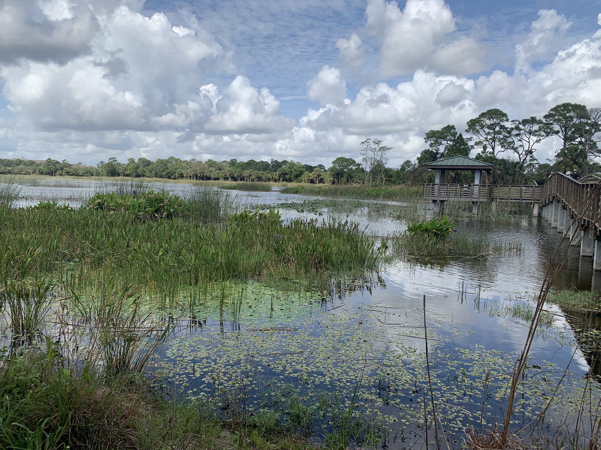 STEMagillPSMS's tweet photo. Today @Beach__Teach &amp; I decided to #explorewithERM a little differently &amp; help kick off their Natural Areas week with a trash cleanup (we helped remove 110 lbs 😳) &amp; seedling planting 🌱at Winding Waters NA. If you haven’t been out there, you are missing out! #TeachersGivingBack https://t.co/Zc3Fke8mJj