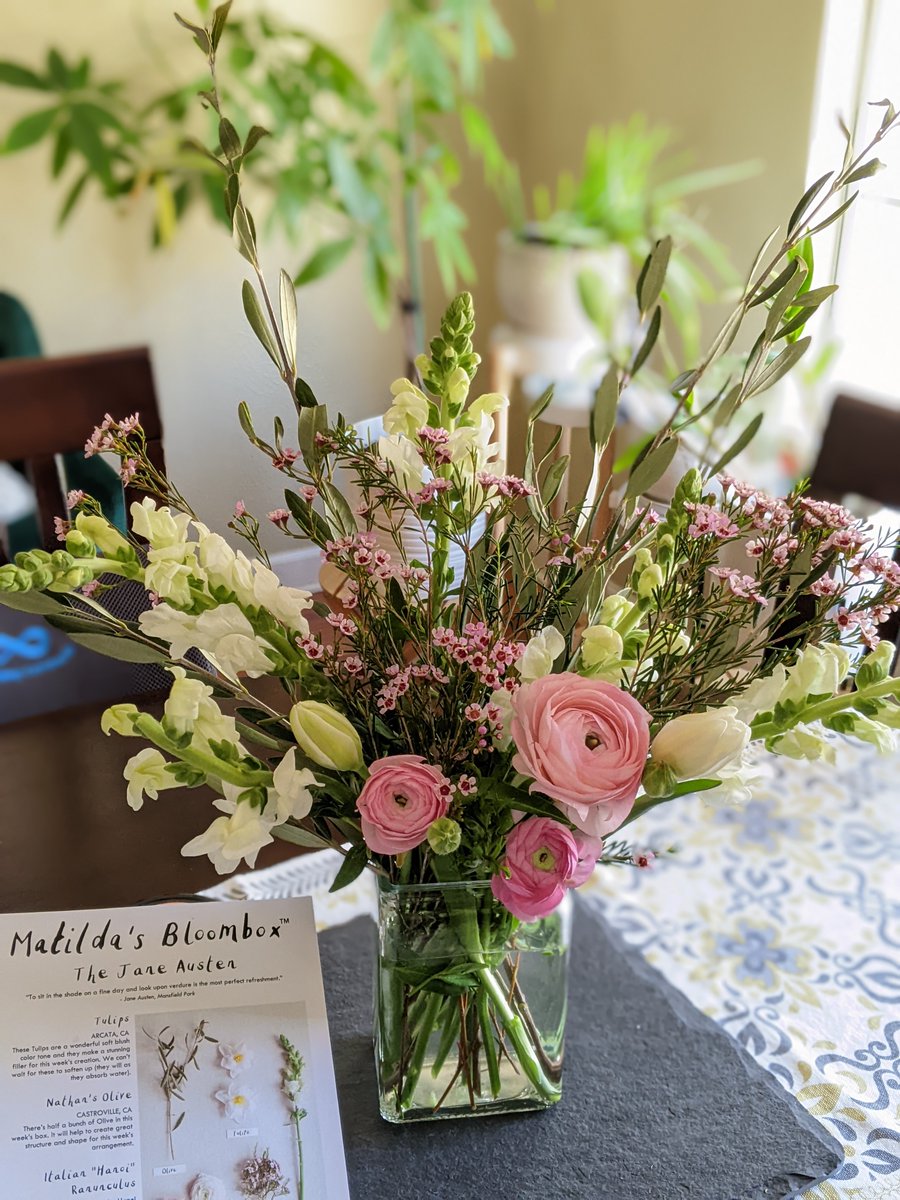 Matilda's Bloombox. I am still enjoying it!
⁠matildasbloombox.com #matildasbloombox #spring #seasonal #usflowerfarmers