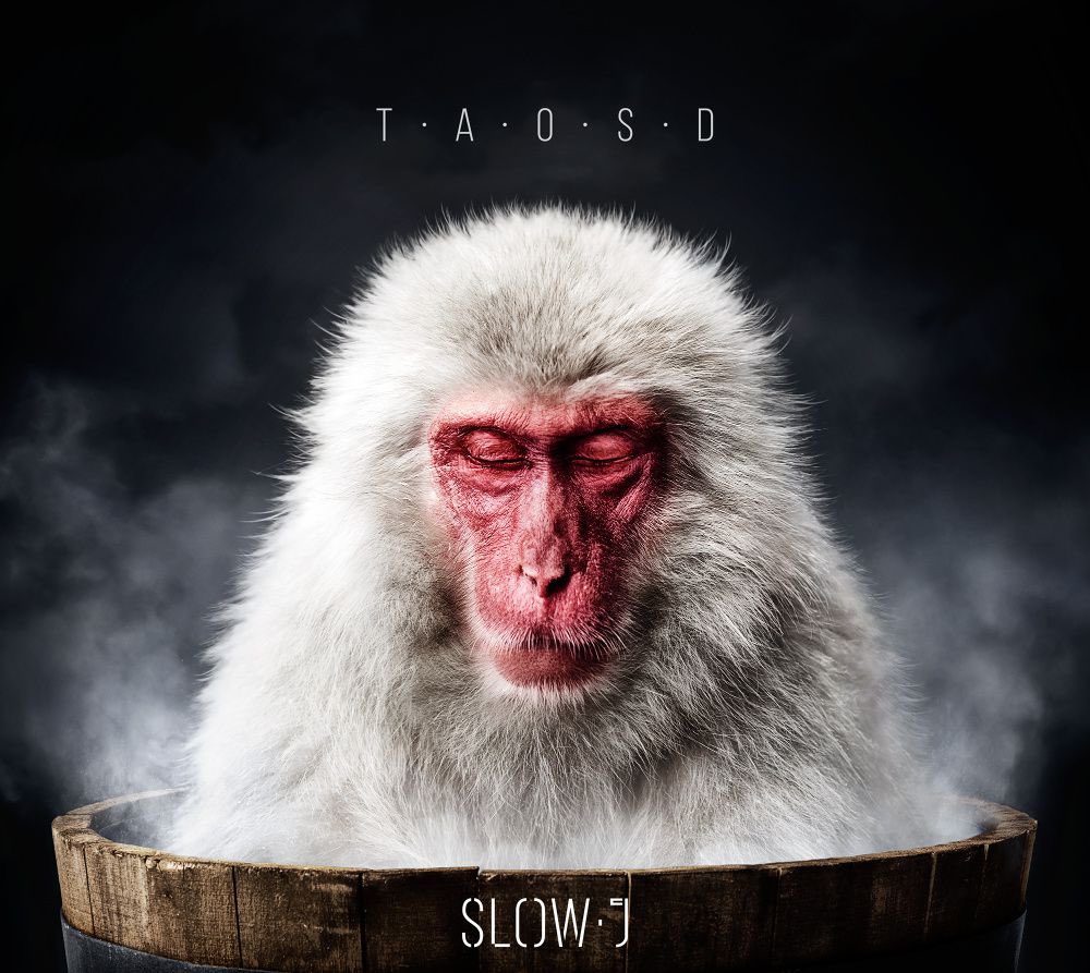 “The Art of Slowing Down”, de Slow J, faz hoje 5 anos que foi lançado • Recorda a crítica ao disco de Miguel de Almeida Santos: comunidadeculturaearte.com/the-art-of-slo…