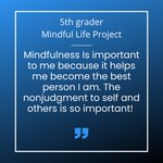 Photo by Mindful Life Project (@Mindful_Project)