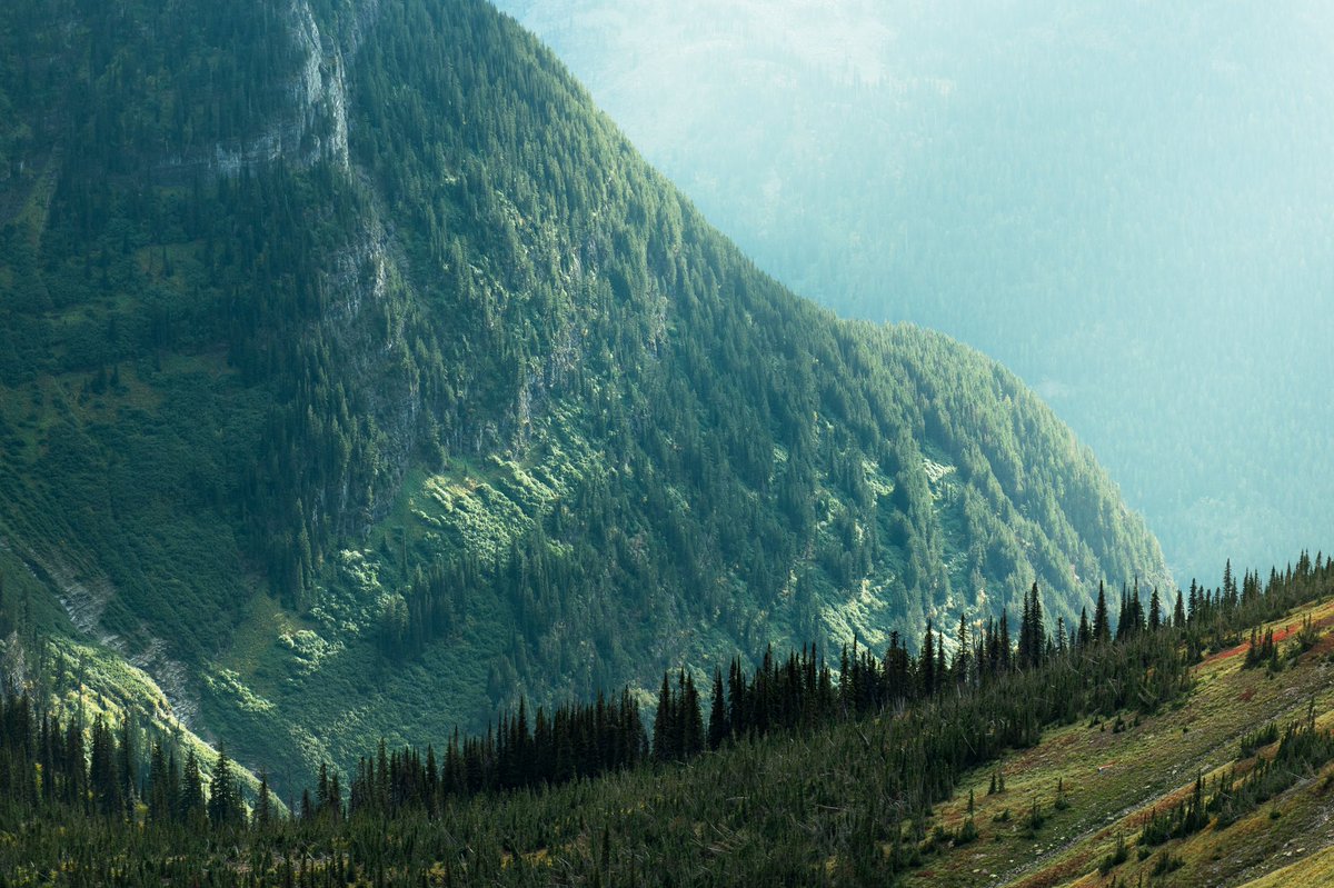 spvncer's tweet photo. ⛰ | https://t.co/6x3Ey9bBnc https://t.co/5qVZKJG8mA
