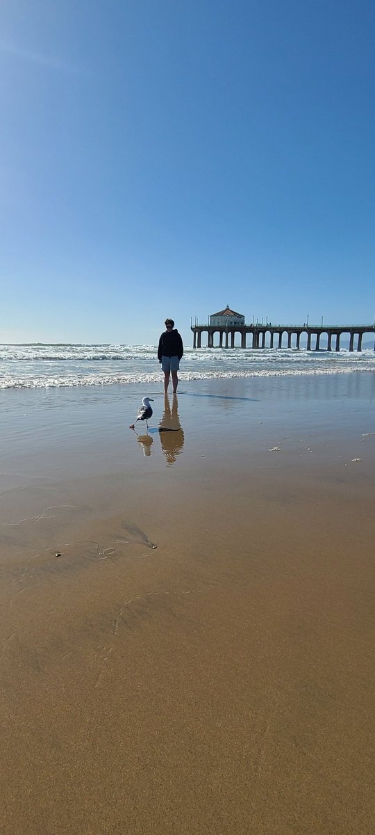 MsHandTeacher's tweet photo. Manhattan Beach is a great place to recover from some hectic days @Dawson_School #LAWint22 https://t.co/wsqhBS6Bqf