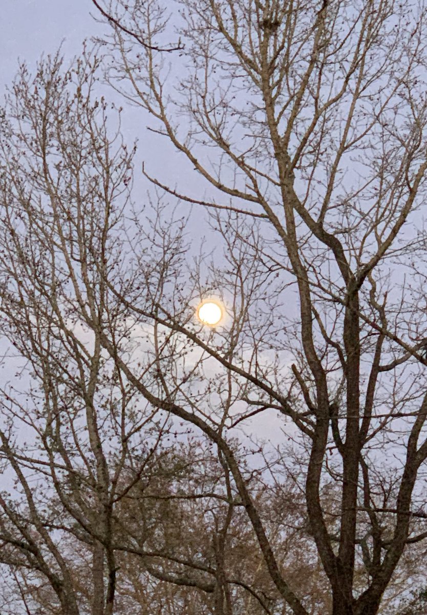 okamoto_sandra's tweet photo. Good evening, Columbus! The waxing gibbous moon is at 98%, getting ready for Fridayโs full moon. Again, it will be visible for hours tonight, so go outside and look. #ColumbusGA #03/16/2022 #gettingcooler #nobreeze #afewbirdschirping #neighborsdogsbarking #mymoonobsession https://t.co/SW1S3thqV7