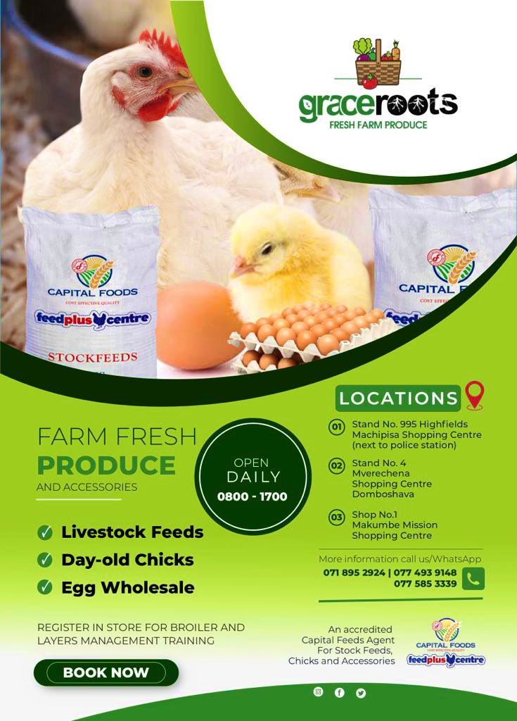 An Accredited Capital Foods Agent for stock feed, Day old Chicks 🐥, brooder Accessories plus fresh farm produce❗️
