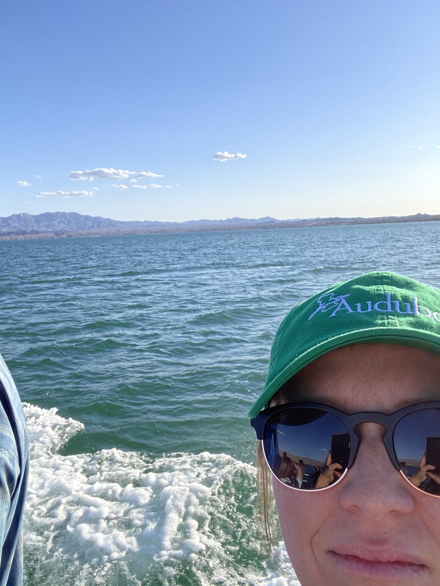 Boat ride through <a href="/USFWSRefuges/">USFWS Refuge System</a> Havasu Wildlife Refuge, Topock Gorge, gorgeous. And I will admit, this Arizonan did not realize how large Lake Havasu was!! #LowerColoradoRiverTour