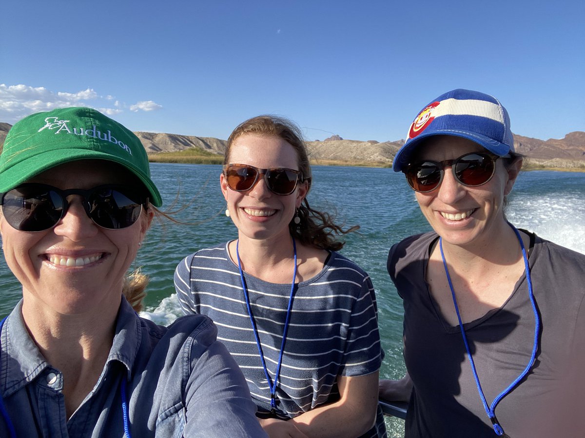 haleyepaul's tweet photo. Boat ride through @USFWSRefuges Havasu Wildlife Refuge, Topock Gorge, gorgeous. And I will admit, this Arizonan did not realize how large Lake Havasu was!! #LowerColoradoRiverTour https://t.co/BoL9vmxwZU
