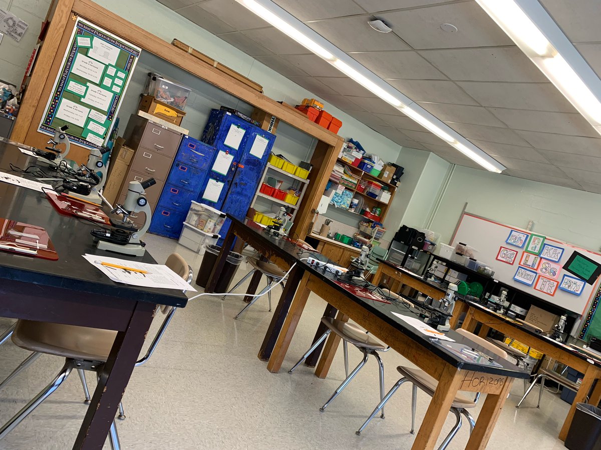 Microscope work today in Grade 5!