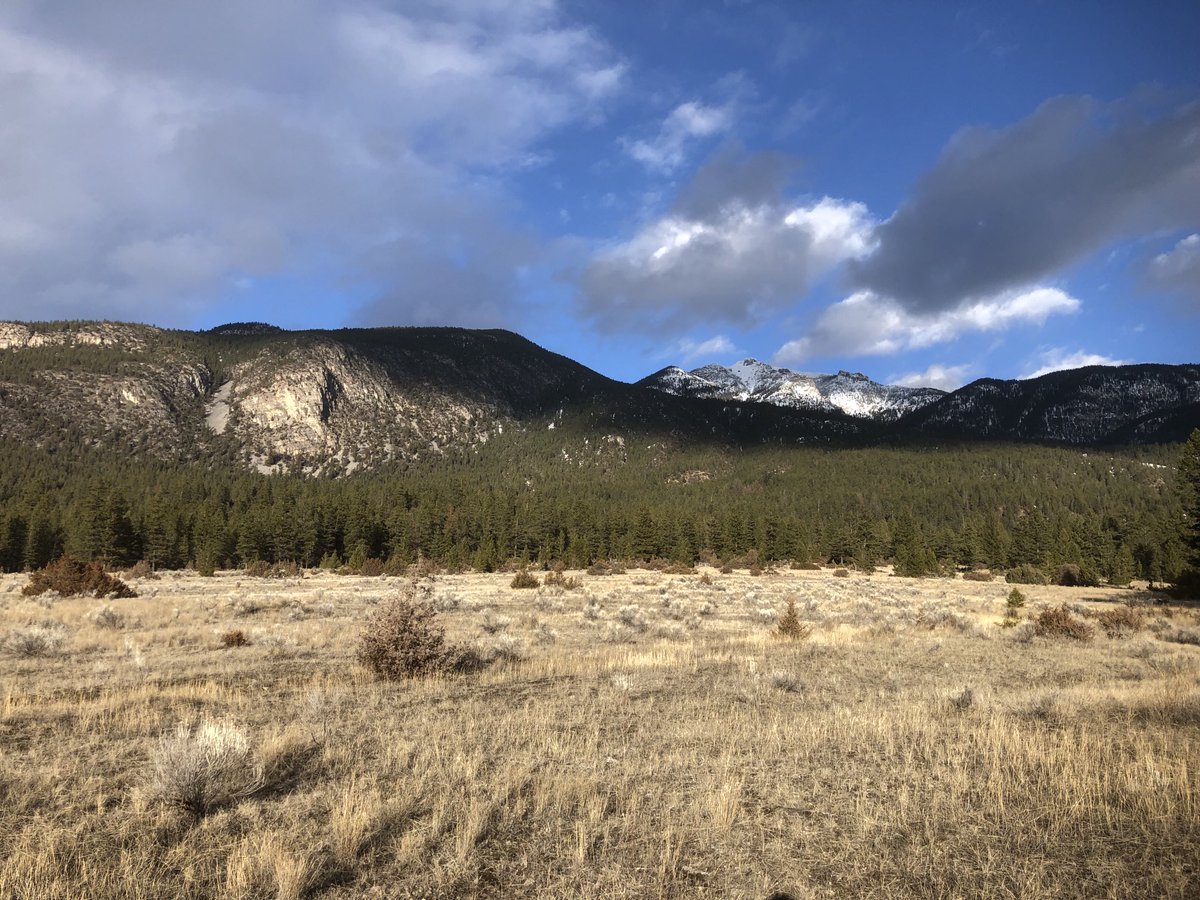 Snow is melting fast in the valley bottoms near the headwaters of Columbia River. #canadianrockies