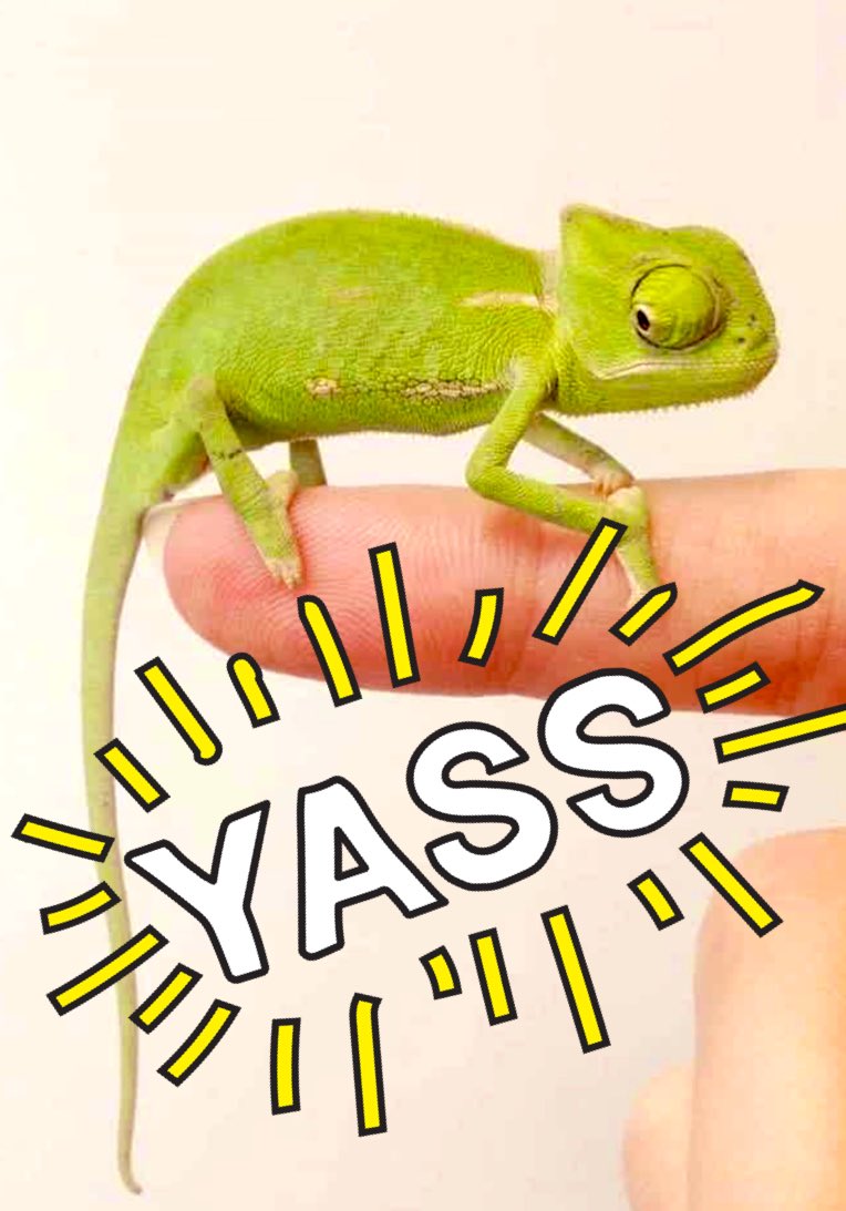 It’s happening!! We are beyond grateful and so excited to bring this joy and wonder to our school!!! Thank you random stranger!!! <a href="/MrsAColwell/">Audrey Colwell</a> #myMISD #MISDliveskind #prideinside2122