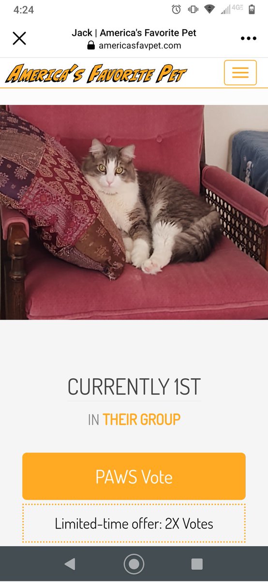Mothercrud's tweet photo. https://t.co/WJHTZ6d1KM
Don’t fur-get! to VOTE FOR JACK TODAY ‼️
Thank you Everyone for putting me in 1st place. Please use your free vote and keep me in the race. I have to be in first to go to the finals ❤️🐈. It's takes two clicks to vote.
https://t.co/RVYG4qWeMS https://t.co/dzG8F8lQkx