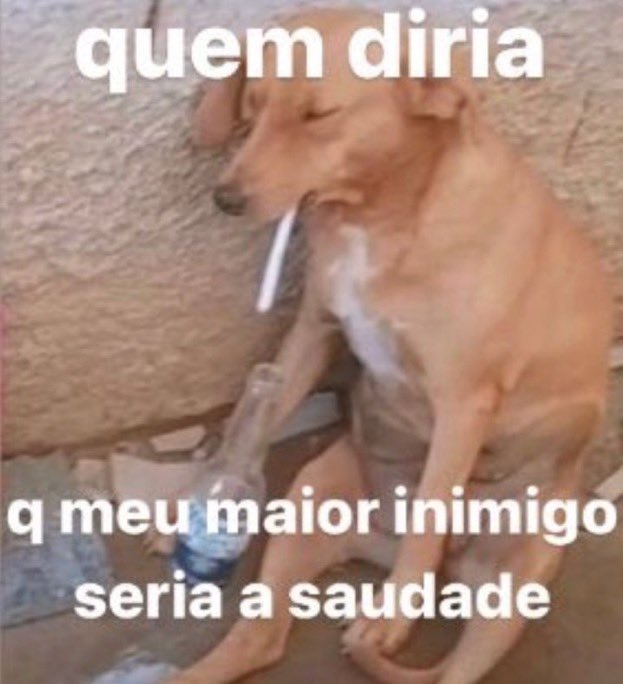 brazilian_pics's tweet photo. https://t.co/5gsRUpRxcO