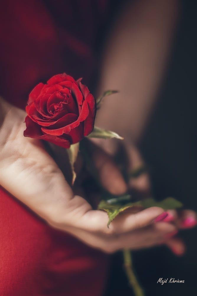WALLI27's tweet photo. @NergisN @Sude0028 @mvf7186 @kittymayo7101 @MeryemSu28 @jasmine50012486 @KaraAyhan01 @swydersk @nbea_h @_Tzny @nunespereirabr @ranasilvia63 @lunayessih @R3_Adv @r95731 @drosty521 @DMalaggay @MarianLuque4 @RosaNegra_08 #MiddleNight💛
👑#KaraAmbargroup
👑#TmSofia
@Sude0028💛@mvf7186
💛@kittymayo7101
💛@MeryemSu28
@jasmine50012486
@KaraAyhan01
@swydersk
@NergisN
@nbea_h
@_Tzny
💛
@nunespereirabr
@ranasilvia63
@lunayessih
@R3_Adv
@r95731
@WALLI27
@drosty521
@DMalaggay
@MarianLuque4
@RosaNegra_08 https://t.co/fMGf0KURvh