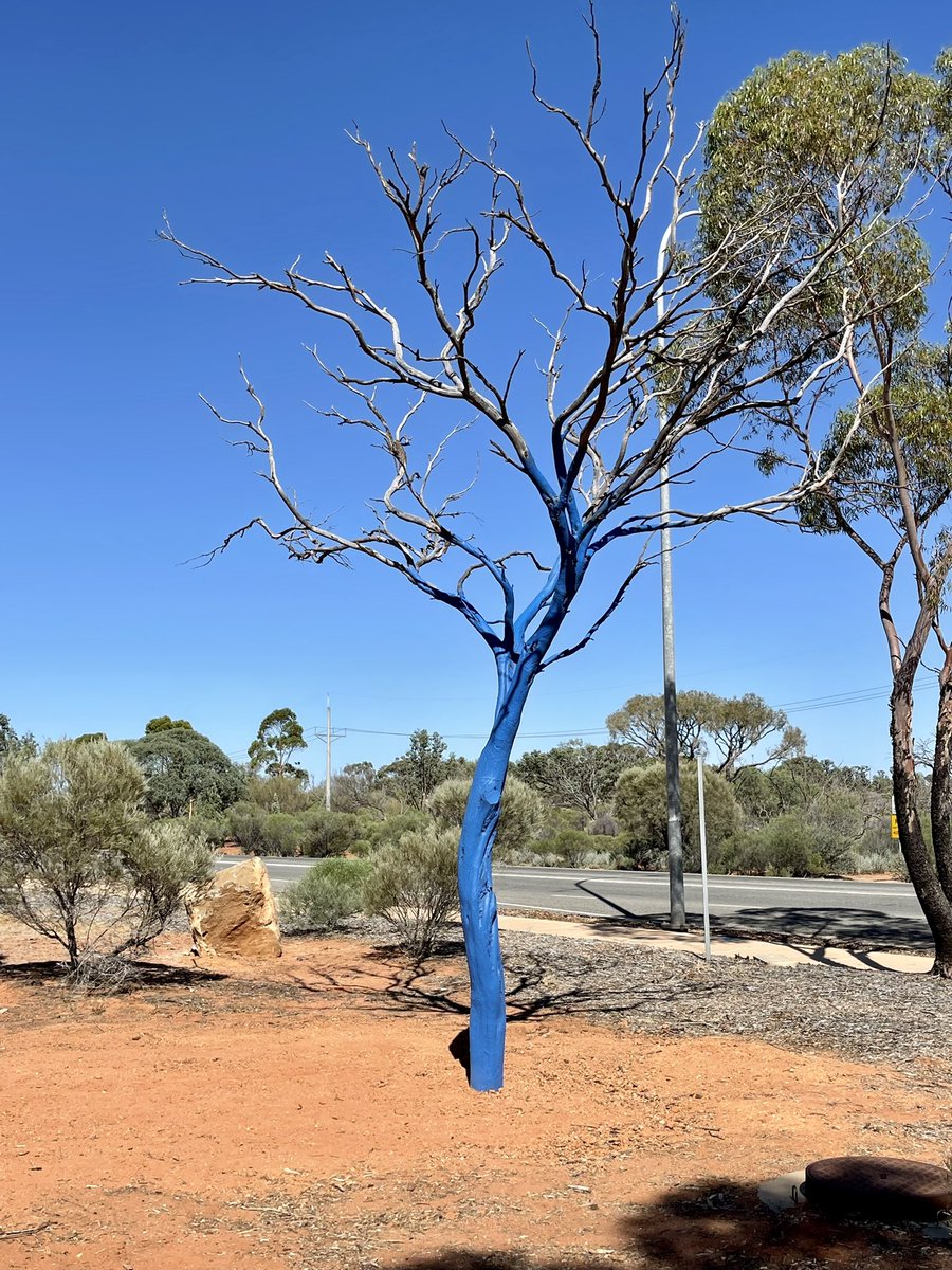 RUboggedmate's tweet photo. Iβm in Roxby Downs for a couple of days & even here I find another reminder.
The resource sector is very tough & comes with its own unique challenges.
Iβm doing 2 talks here tonight, details on the website.
@bluetreepau
#areyouboggedmate
#bluetreeproject
#roxbydowns https://t.co/s4UteEV24Z