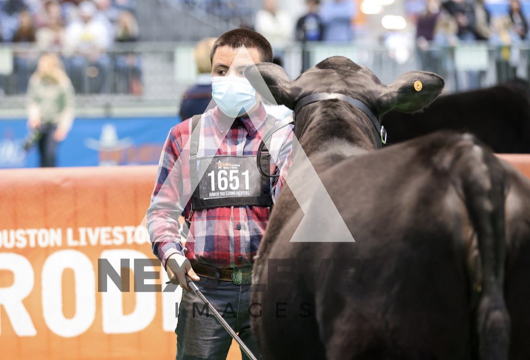 NimitzFFA's tweet photo. Congratulations @itsluisohh and Luna! Great job at @RODEOHOUSTON this week 

-10th place Calf Scramble American Heifer Class 10
-13th place ARB Heifer Class 8

#IgniteFFA #AldineForward @NimitzHS_AISD @AldineCTE @AldineISD https://t.co/roOv3TVxeh