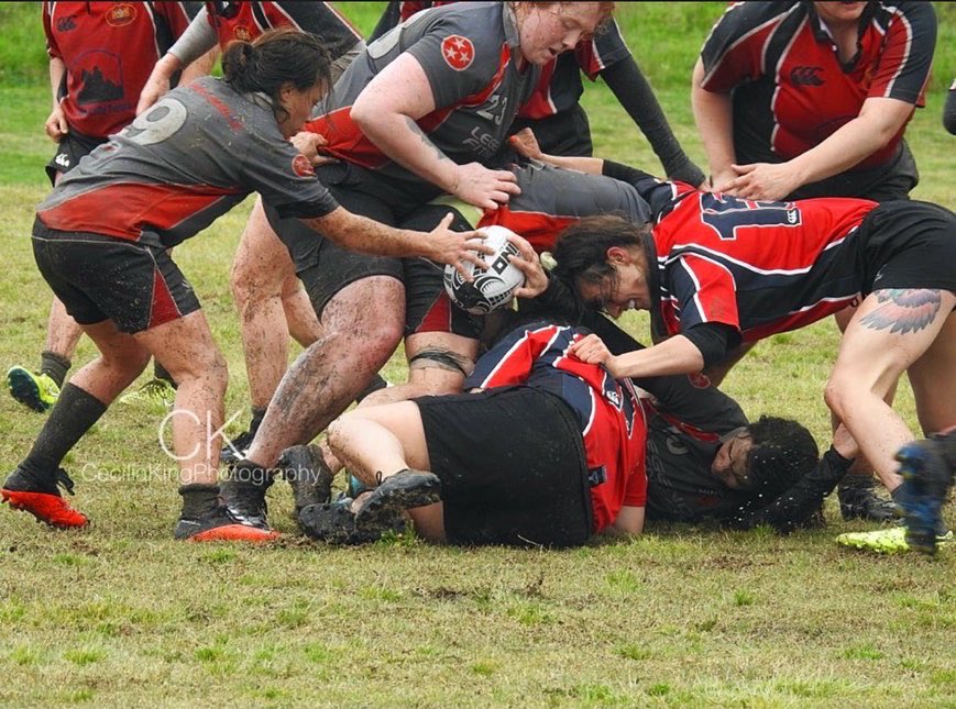 Radio Systems Corporation tweet media