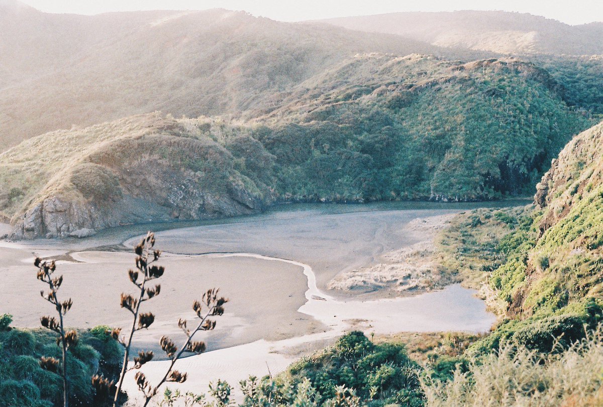 Beautiful New Zealand #35mm #NFT
