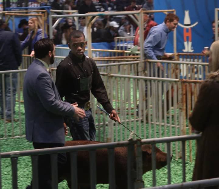NimitzFFA's tweet photo. Congratulations K’Ven Horn and Morty in Class 2 of the Duroc show! Thank you Mr. Chad for the experience and for your mentorship #IgniteFFA #AldineForward @NimitzHS_AISD @AldineCTE @AldineISD https://t.co/lpfjl26MoS