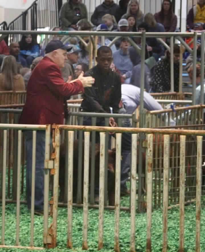 NimitzFFA's tweet photo. Congratulations K’Ven Horn and Morty in Class 2 of the Duroc show! Thank you Mr. Chad for the experience and for your mentorship #IgniteFFA #AldineForward @NimitzHS_AISD @AldineCTE @AldineISD https://t.co/lpfjl26MoS