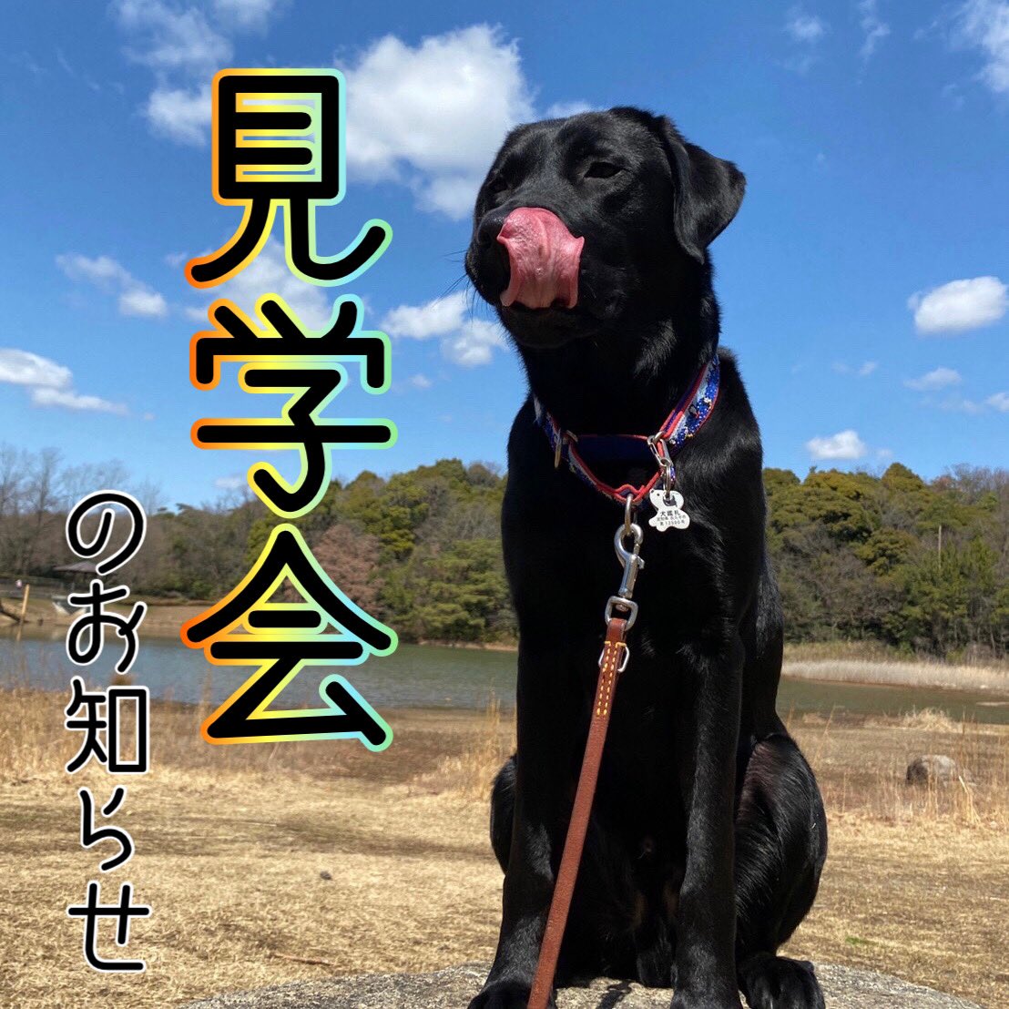 社福 日本介助犬協会 Jsda Servicedog Twitter