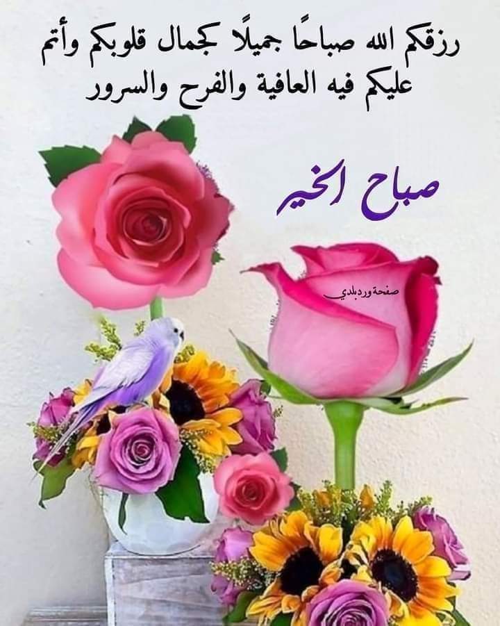 ابوبكر مترجم (@coolabuu271) on Twitter photo 