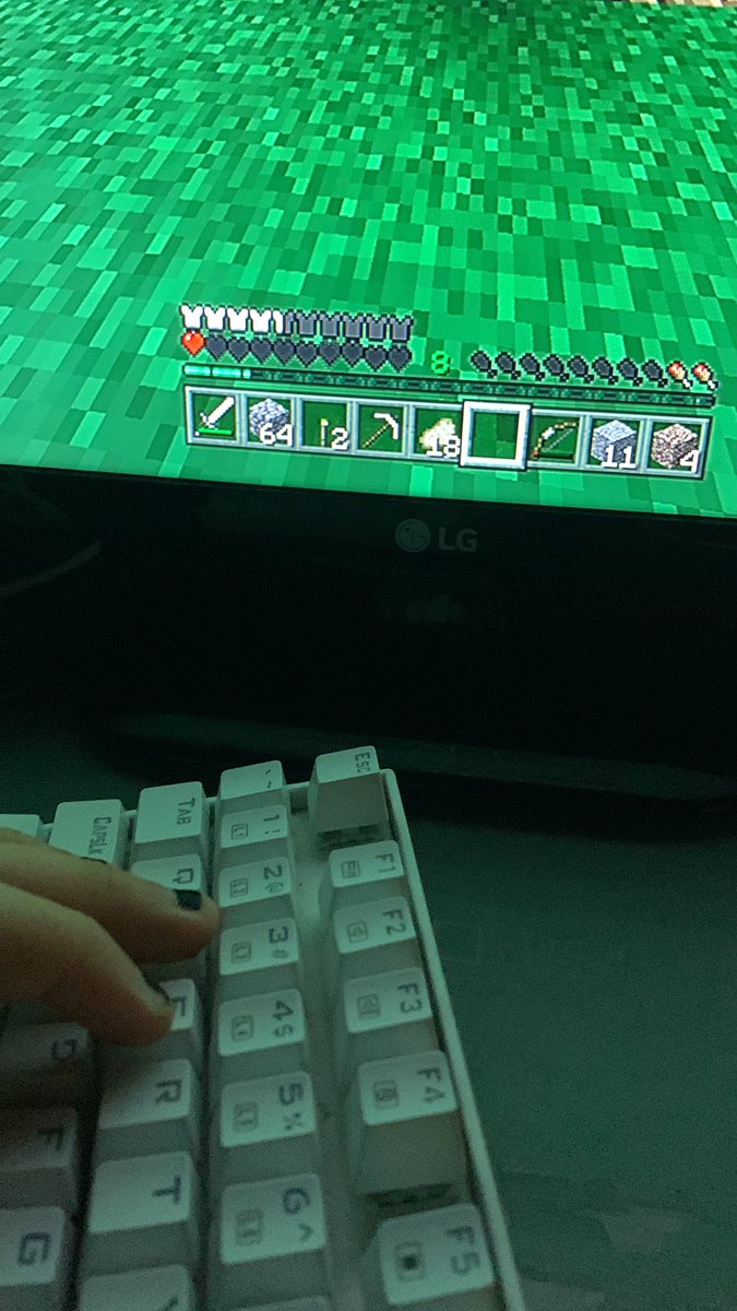 StarlightHQs's tweet photo. @ilySadwave @itsymmot minecraft ratio https://t.co/dFW2aY59Uw