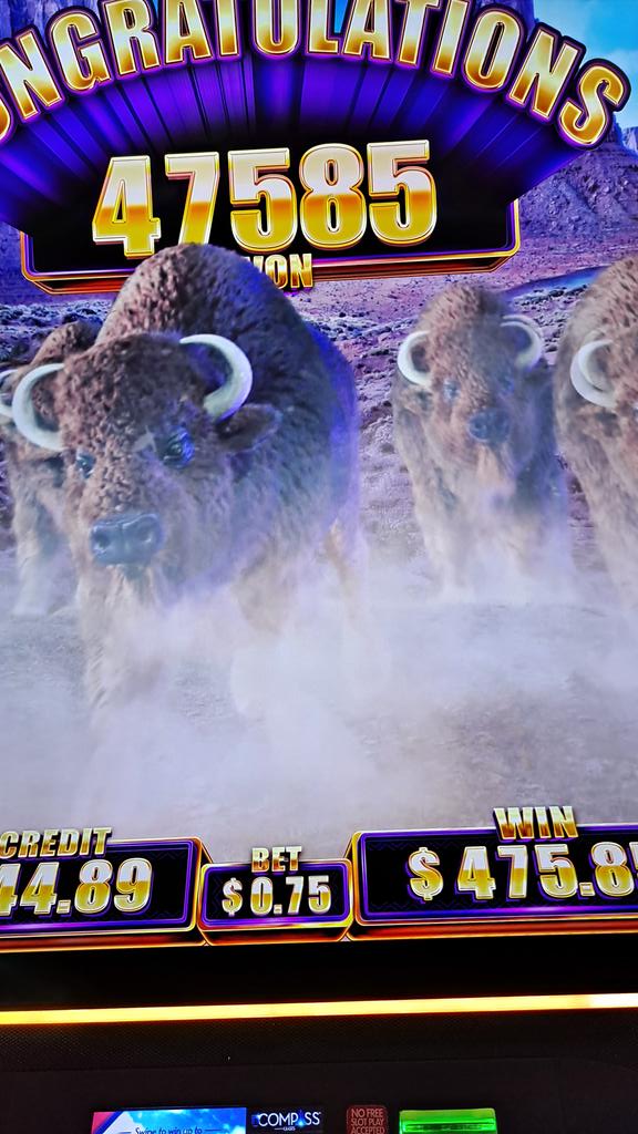 haappyy's tweet photo. Buffaloooooooo! https://t.co/MeR7iCwJ9D
