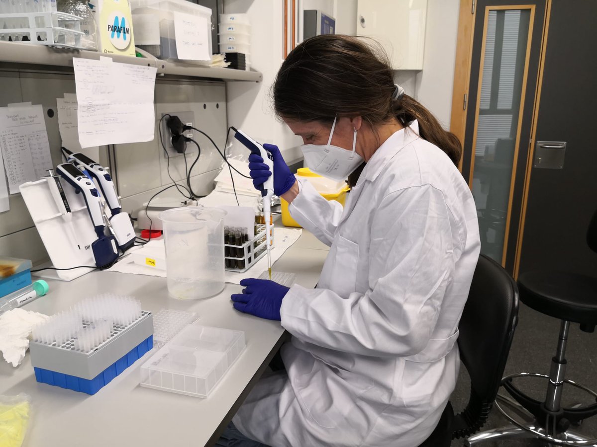 .<a href="/judithjubel/">judith.hinderling</a> is visiting us for two weeks. Hosted by @LNeuenkamp, Judith comes from <a href="/unibern/">Universität Bern</a> and is learning some laboratory techniques with the help of our skilled technicians <a href="/vochoaesteban/">Victoria Ochoa</a> Beatriz Gozalo and Sergio Asensio
