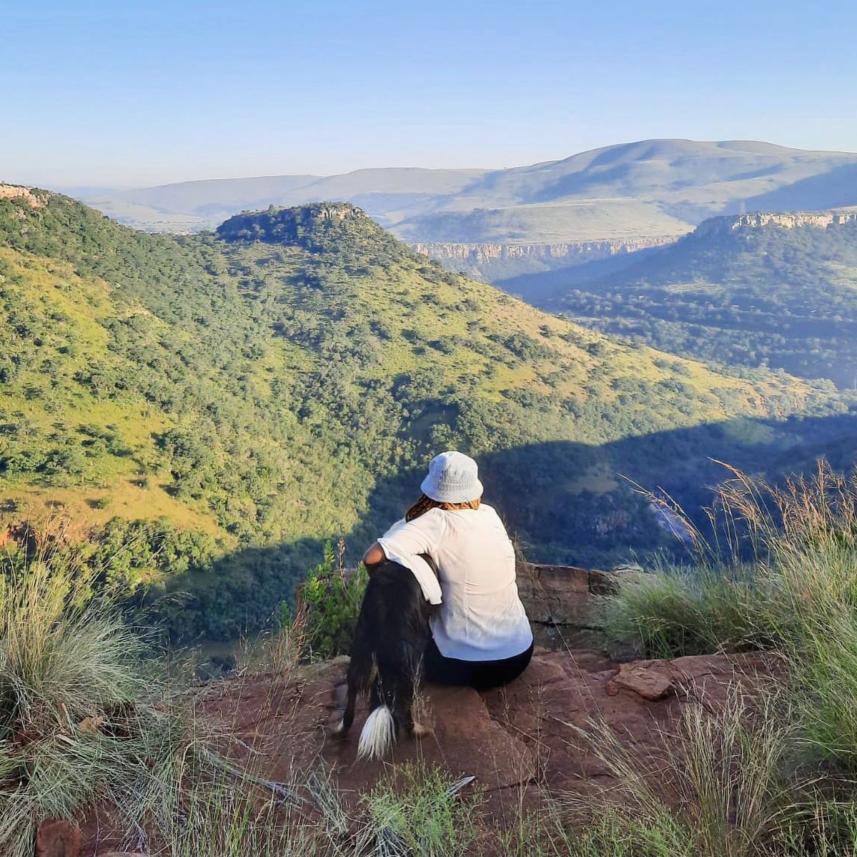 What's on in Joburg tweet media