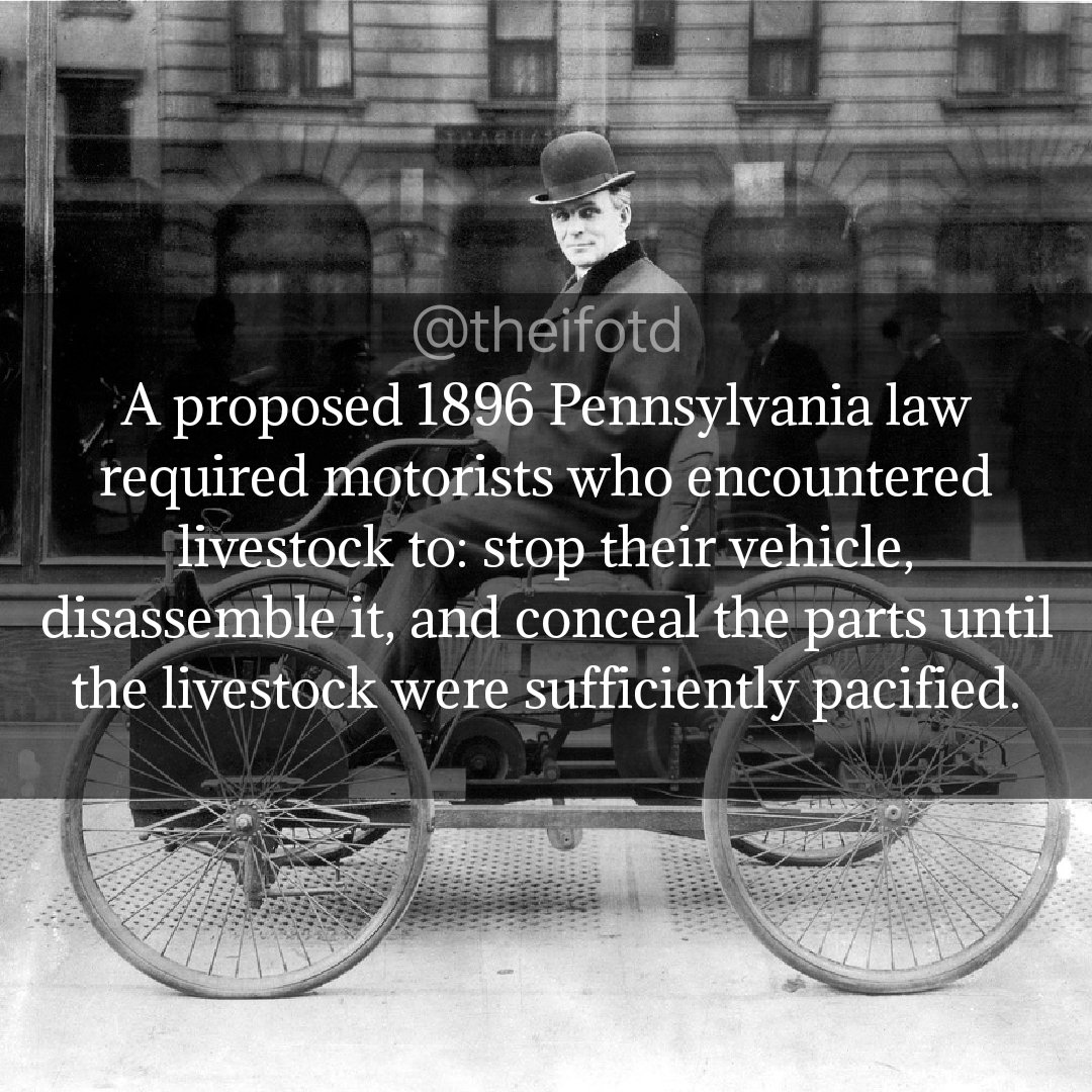 theifotd's tweet photo. #motoring #pennsylvania #law #automotive #livestock #strangebuttrue #vehicle #car #automobile #usa #ifotd #interesting #fact #learnsomethingneweveryday #learnsomethingnew #todayilearned #goodmorning #morning #daily #facts https://t.co/iv7w7K8yKm