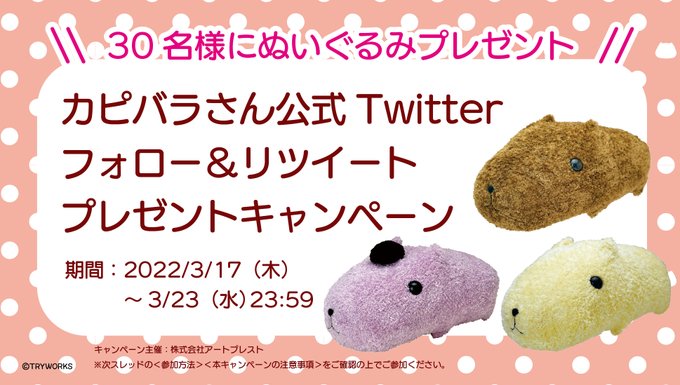 画像まとめ カピバラさん アニメレーダー