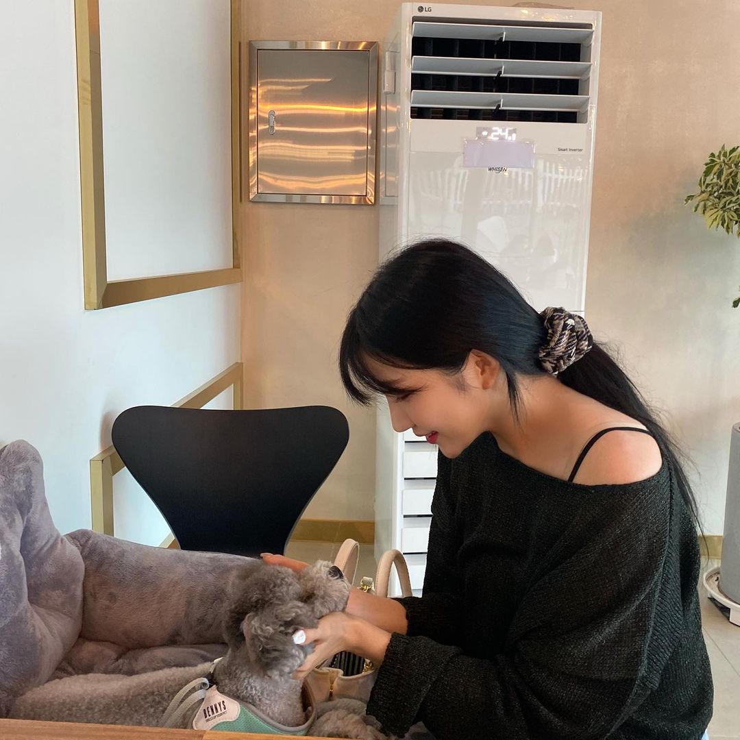 yujugcfs's tweet photo. gfriend with their puppies https://t.co/ABxpCJo0M0