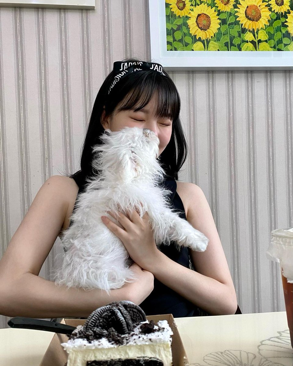 yujugcfs's tweet photo. gfriend with their puppies https://t.co/ABxpCJo0M0