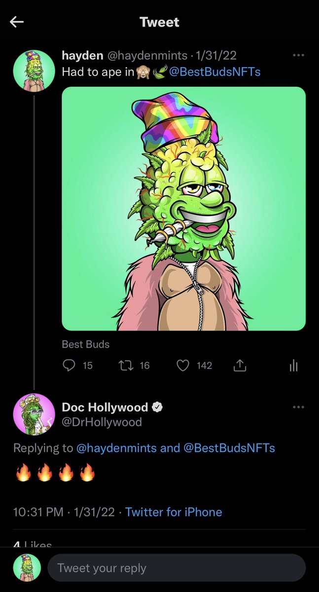 hayden tweet media