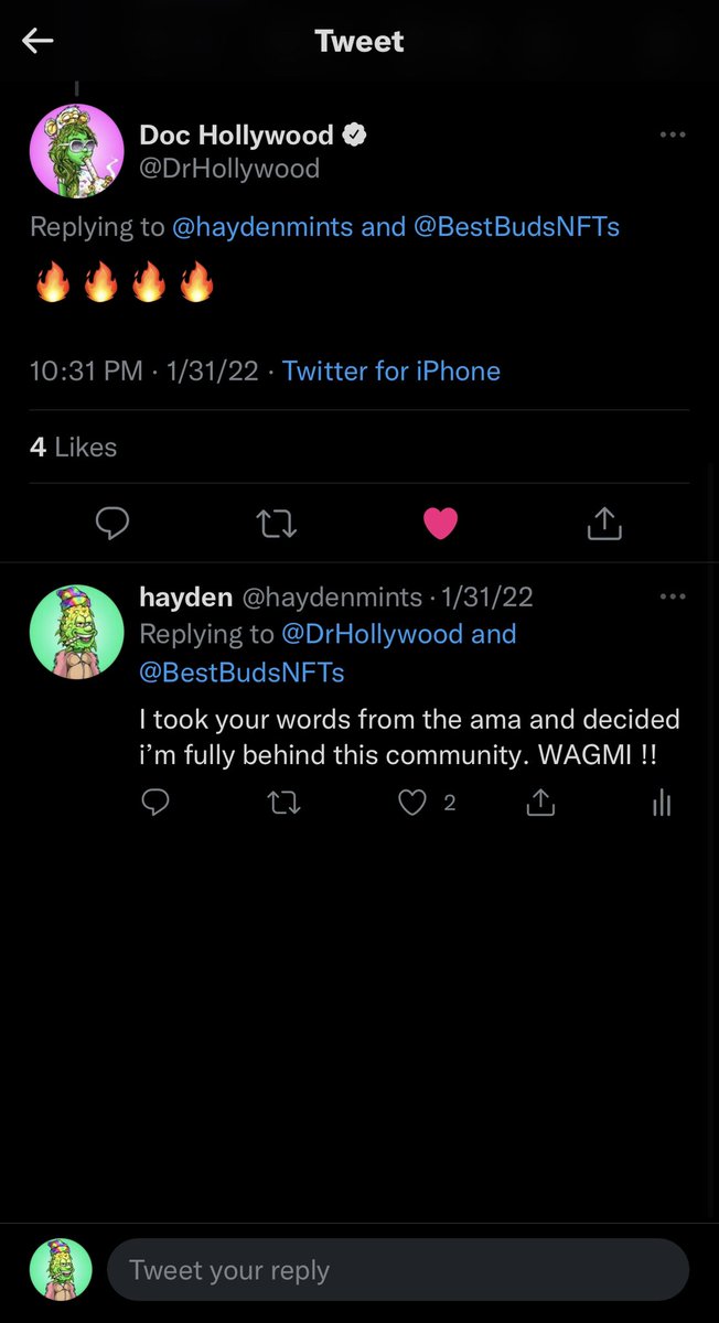 hayden tweet media