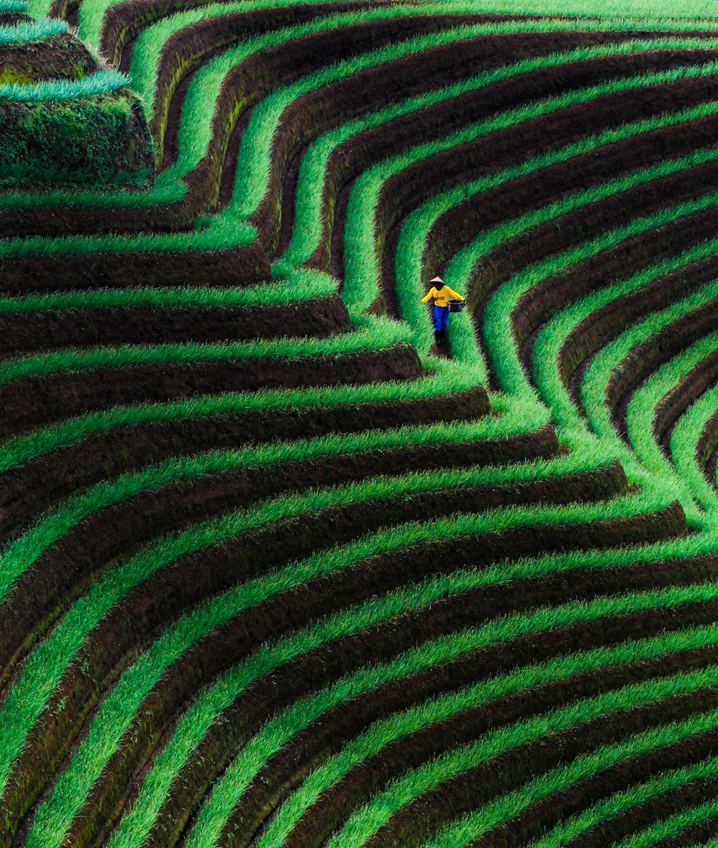 n0maden's tweet photo. "Onion Field"
8 Edition
1 Tezos
https://t.co/LjvYHVuEcO
https://t.co/AuCNHUtgJ4
@TeiaCommunity @objktcom @NFTindonesia_ https://t.co/LS7GvpYkhG