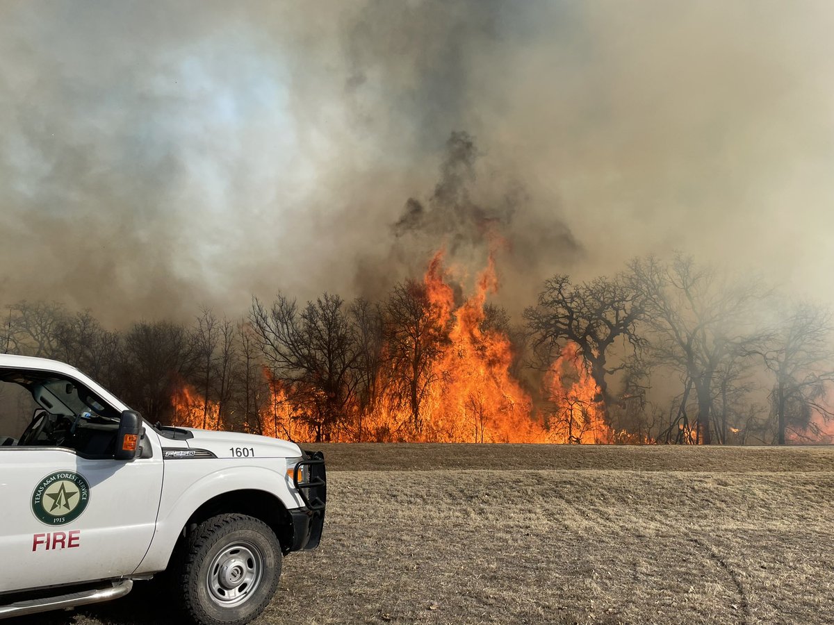 AllHazardsTFS's tweet photo. Update: the #WallingFire in Eastland County is an estimated 250 acres and 85% contained. #txfire https://t.co/Ofb8ic2ms9