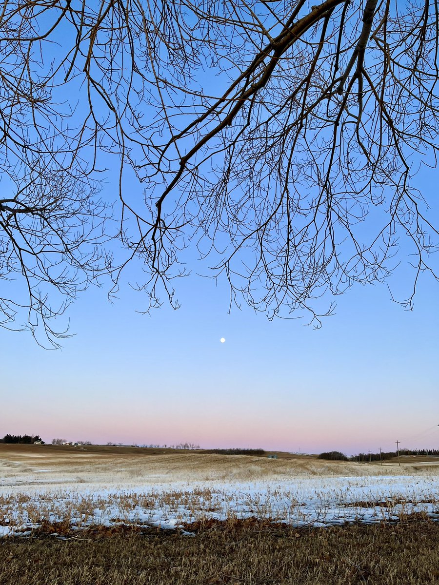 BPODOfficial's tweet photo. BPOD found #ethereum in a User vault at this location! 

Branches reaching out to the moon 🌳🌝 

Join me playing #coinhuntworld, It's awesome! https://t.co/yyQ0OMjAHs #cryptocurrency #112195 https://t.co/8MU7LAmkvR
