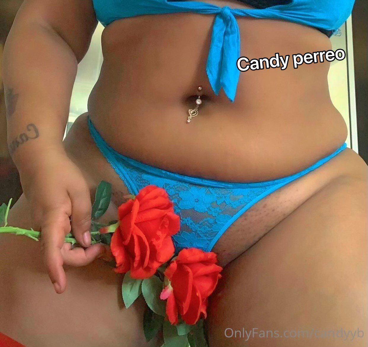 Candy Perreo onlyfans $7 on X: Quieres este pokemon PokemonLEGENDS  t.coryjAHT72j7 t.co9Im5sVaJHO  X